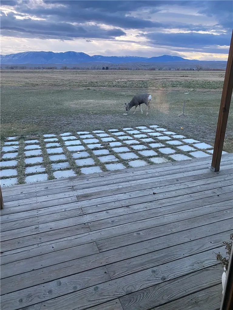 157 Hergenrider Road Bridger MT 59014