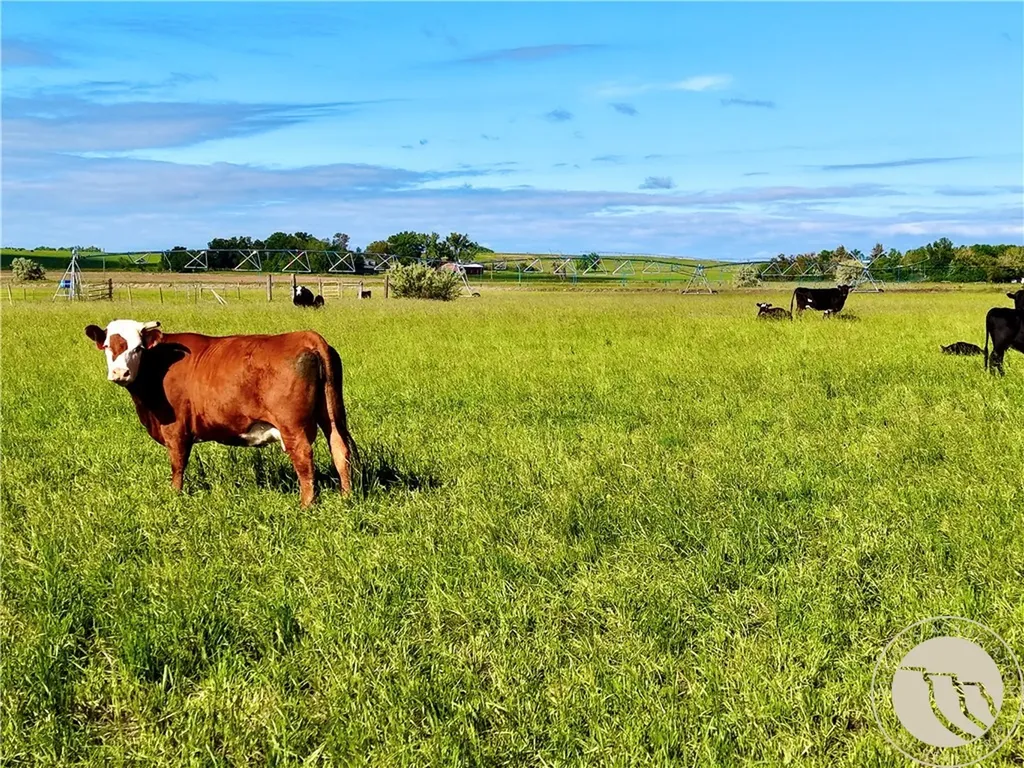 1481 Countyline Road Other MT 59487