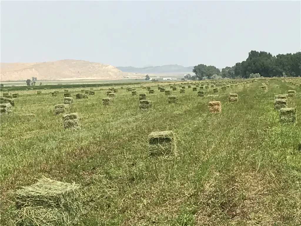 Tbd Hergenrider Road Bridger MT 59014