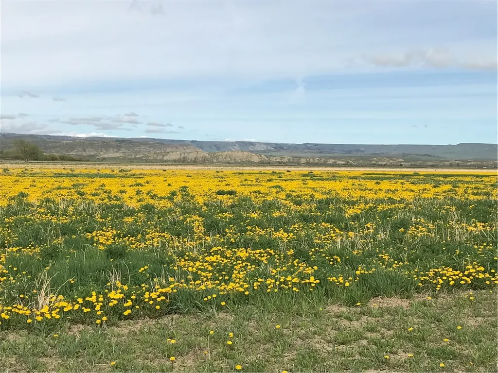Tbd Hergenrider Road Bridger MT 59014