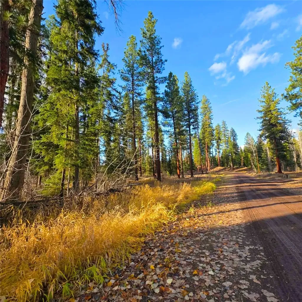 Nhn Hollopeter Road Other MT 59826