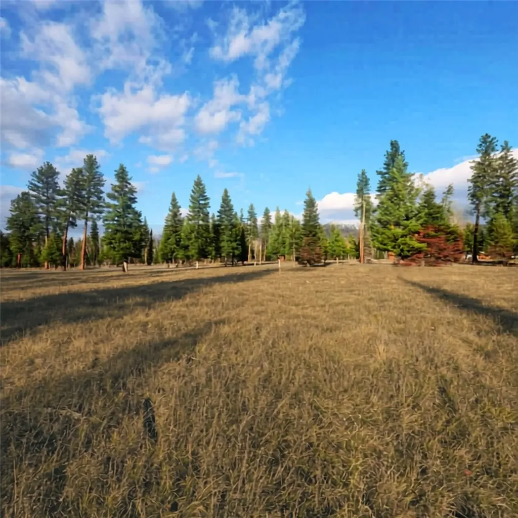 Nhn Hollopeter Road Other MT 59826
