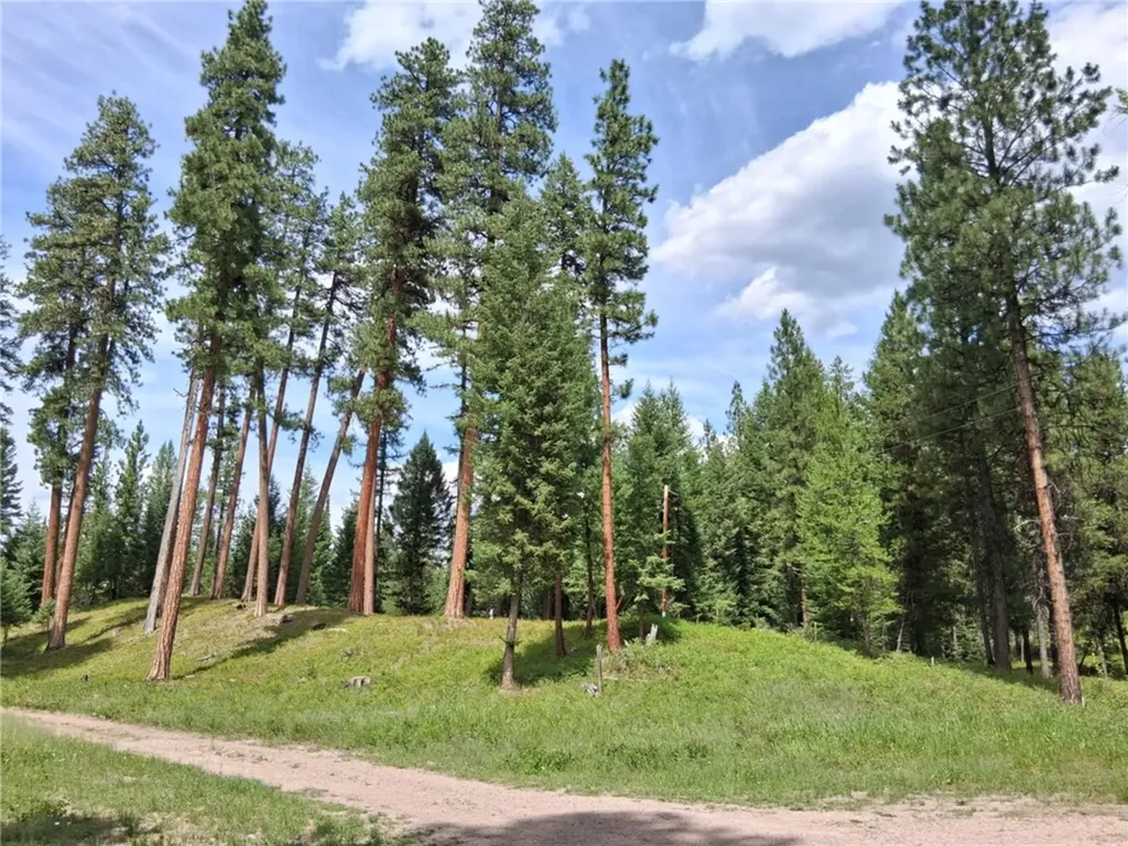 Nhn Hollopeter Road Other MT 59826