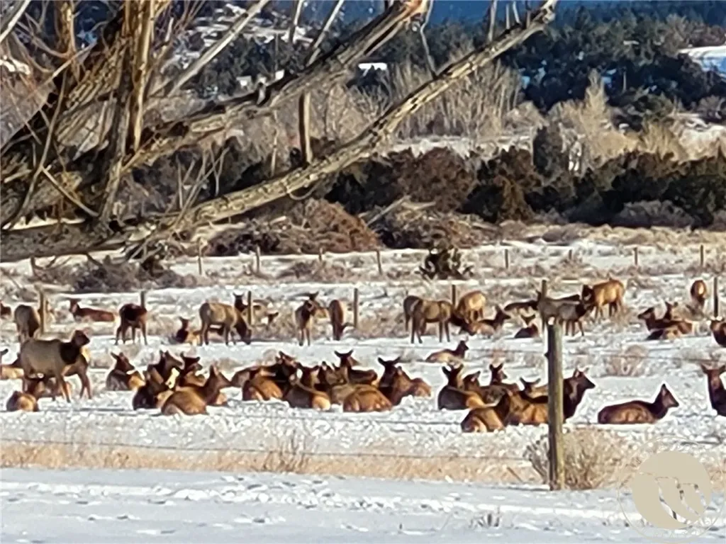 2584 Highway 284 Other MT 59644