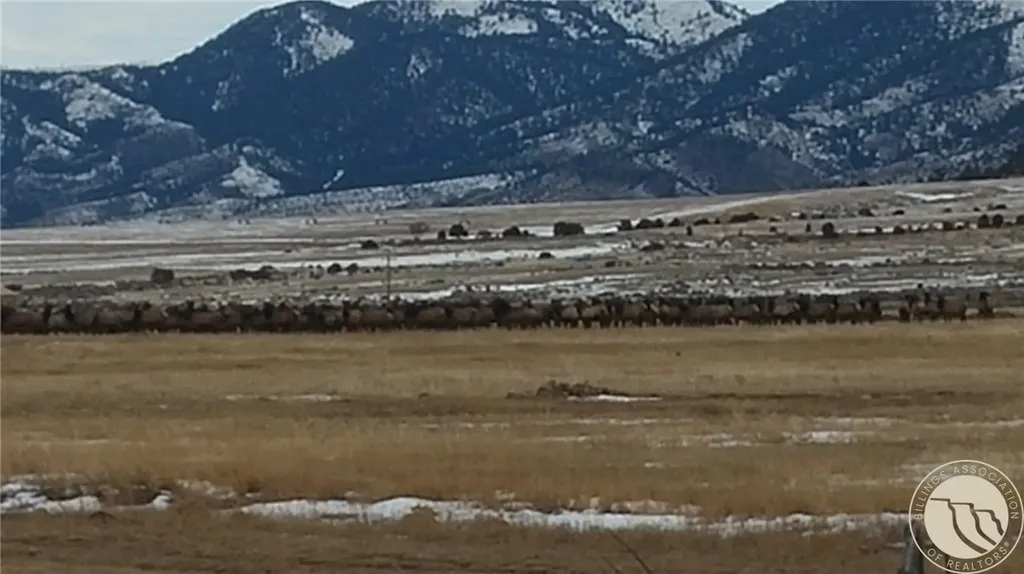 2584 Highway 284 Other MT 59644