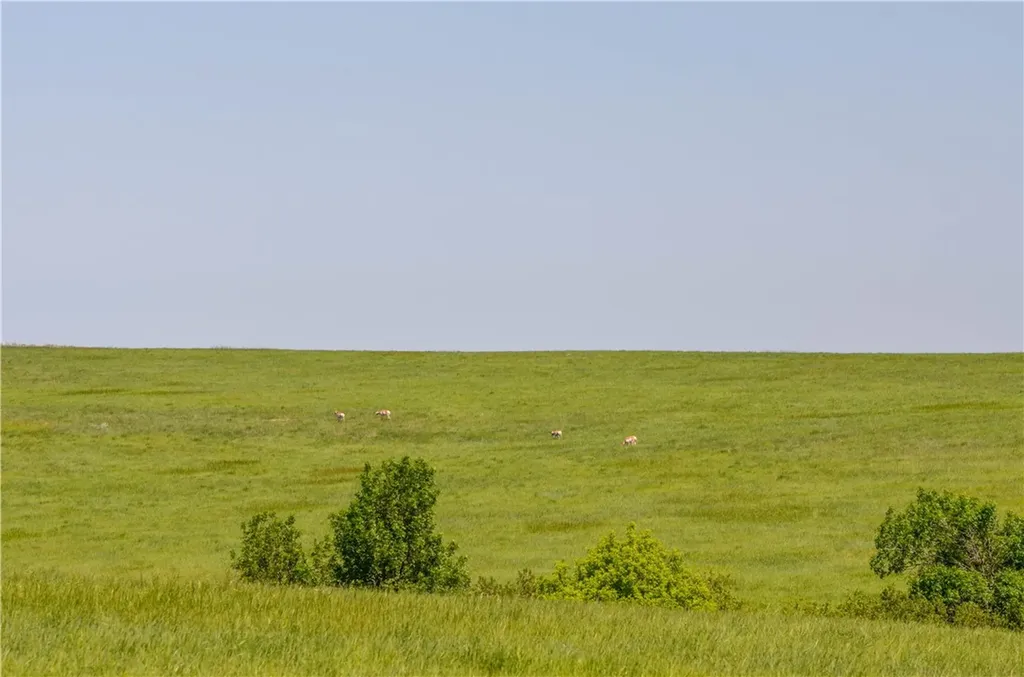 314 Oilfield Road Glendive MT 59326