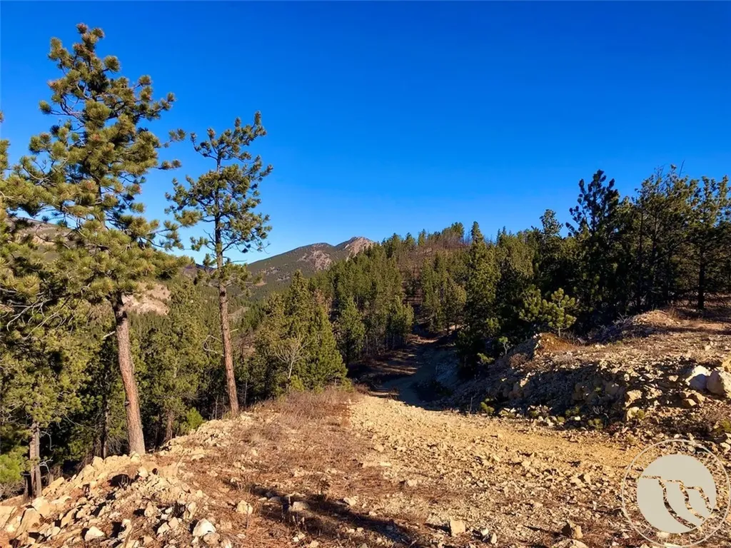 Nhn Pony Gulch Other MT 59546