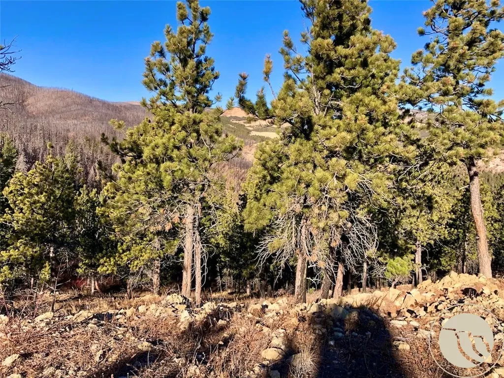 Nhn Pony Gulch Other MT 59546