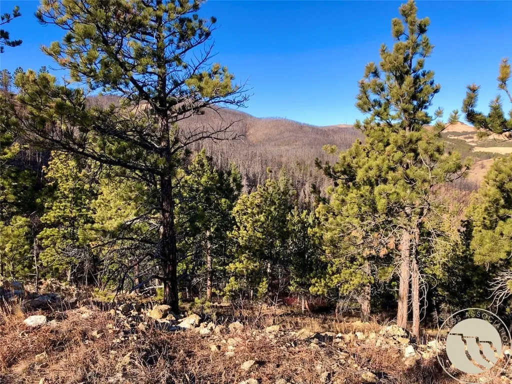 Nhn Pony Gulch Other MT 59546