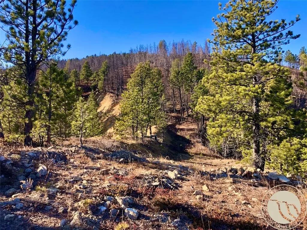 Nhn Pony Gulch Other MT 59546