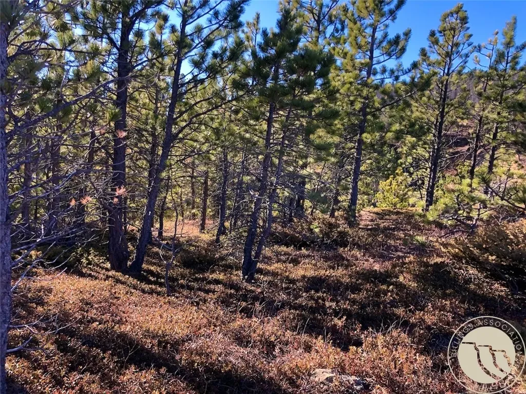 Nhn Pony Gulch Other MT 59546
