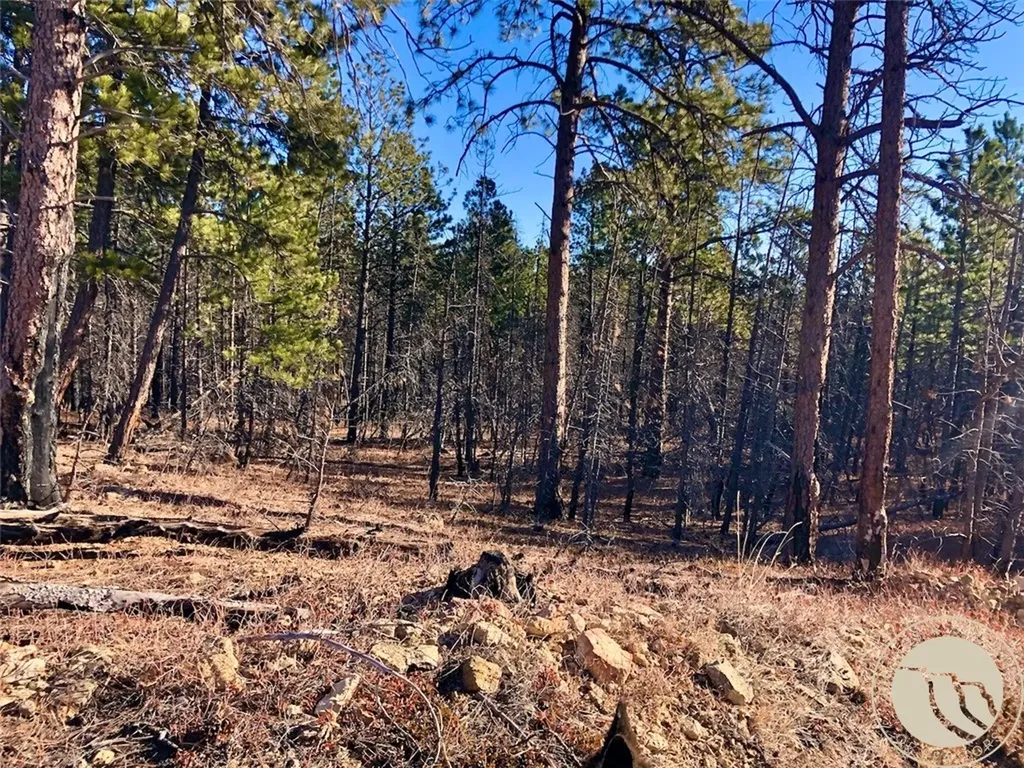 Nhn Pony Gulch Other MT 59546
