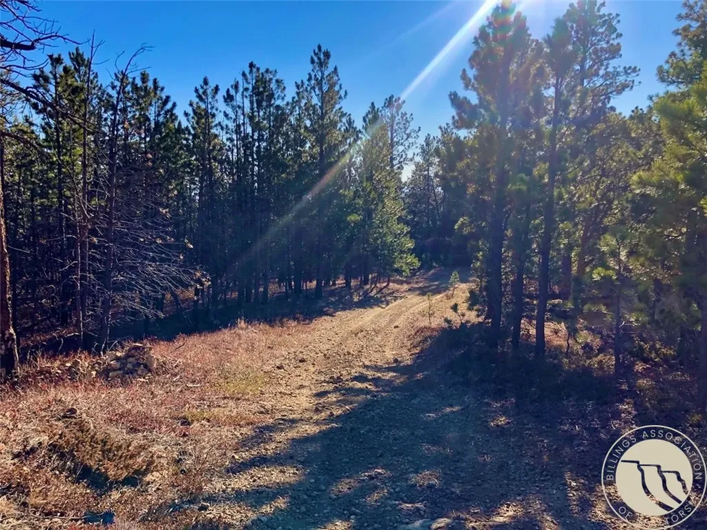 Nhn Pony Gulch Other MT 59546