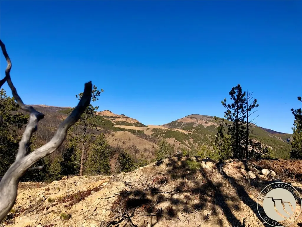 Nhn Pony Gulch Other MT 59546