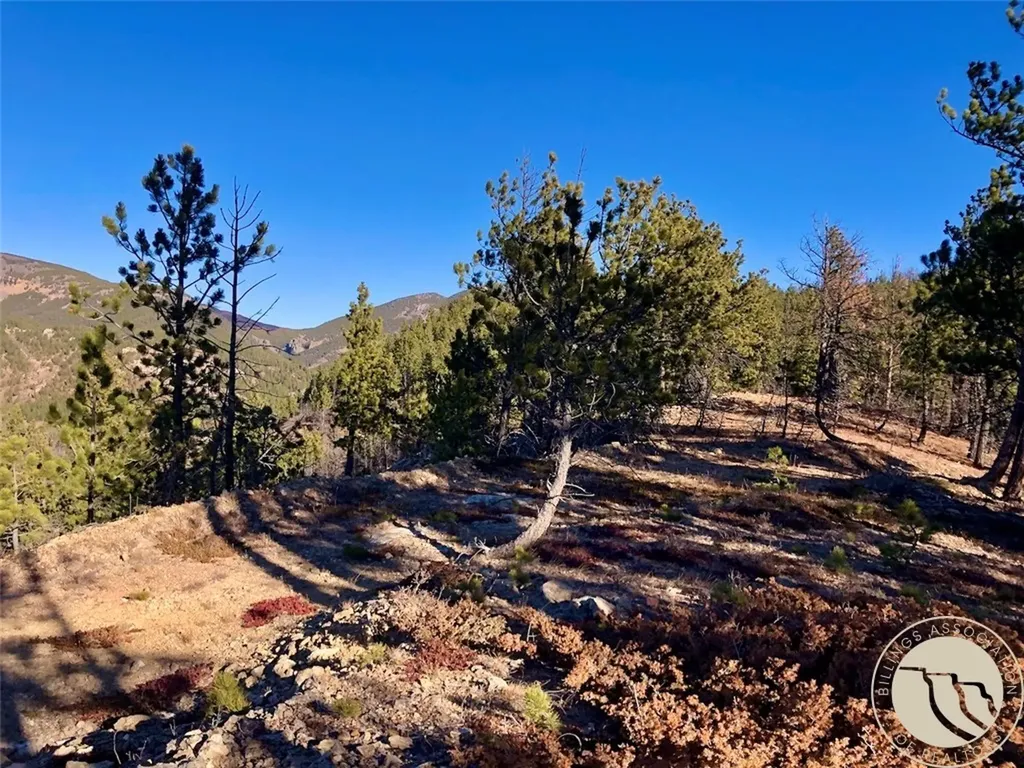 Nhn Pony Gulch Other MT 59546