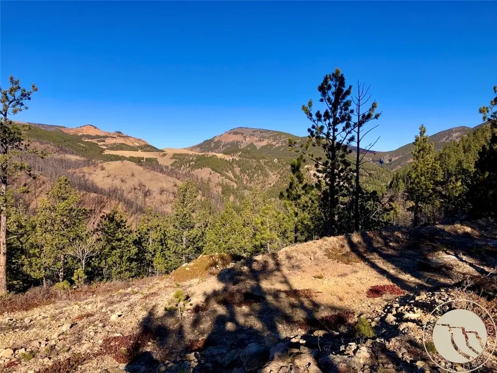 Nhn Pony Gulch Other MT 59546