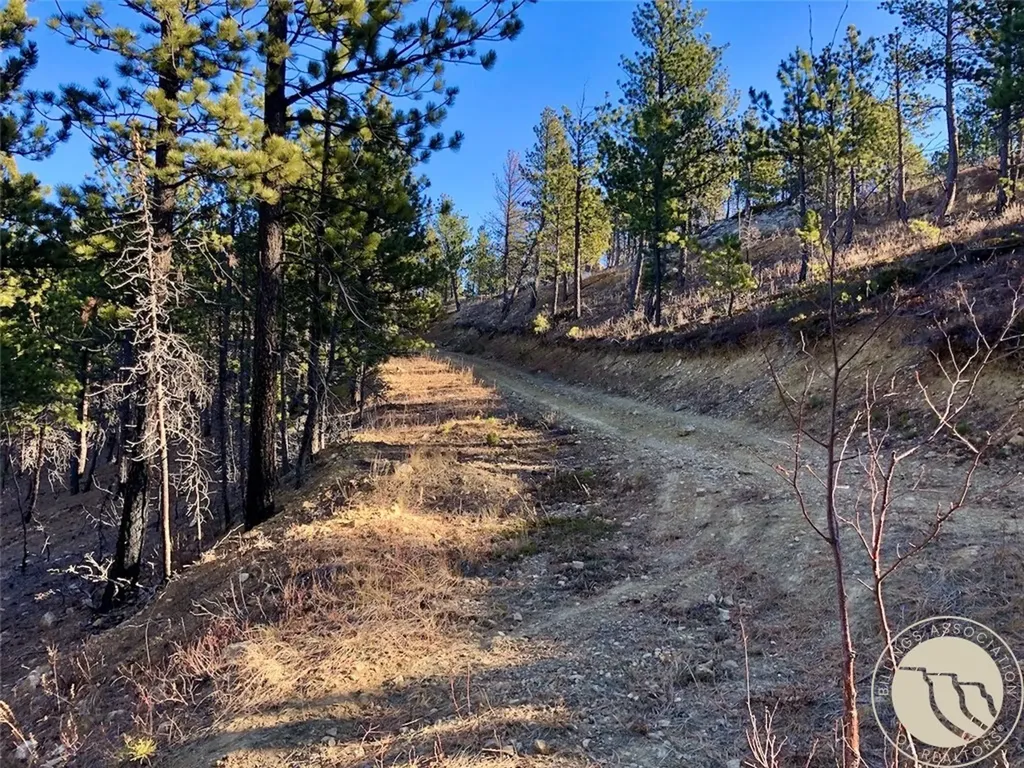 Nhn Pony Gulch Other MT 59546