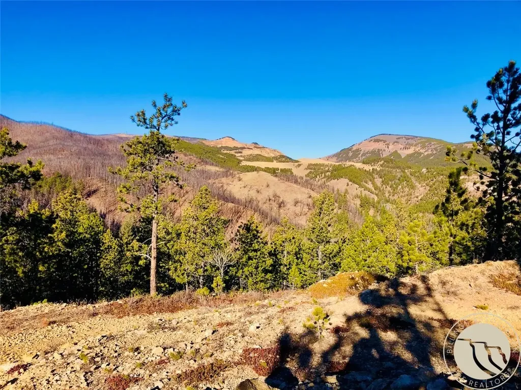 Nhn Pony Gulch Other MT 59546