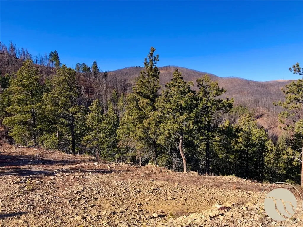 Nhn Pony Gulch Other MT 59546