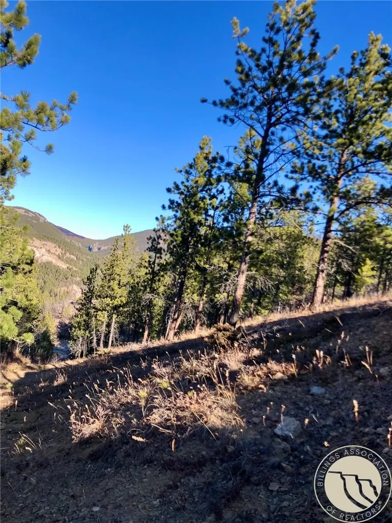 Nhn Pony Gulch Other MT 59546