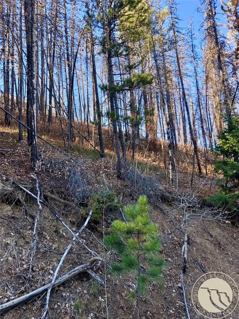 Nhn Pony Gulch Other MT 59546