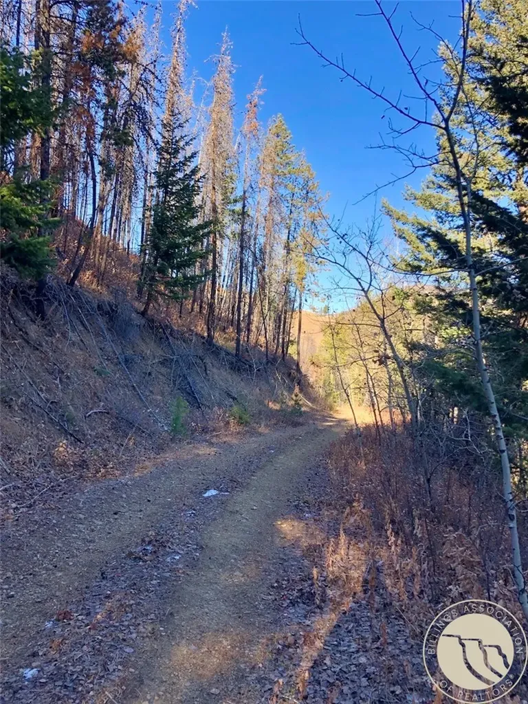 Nhn Pony Gulch Other MT 59546