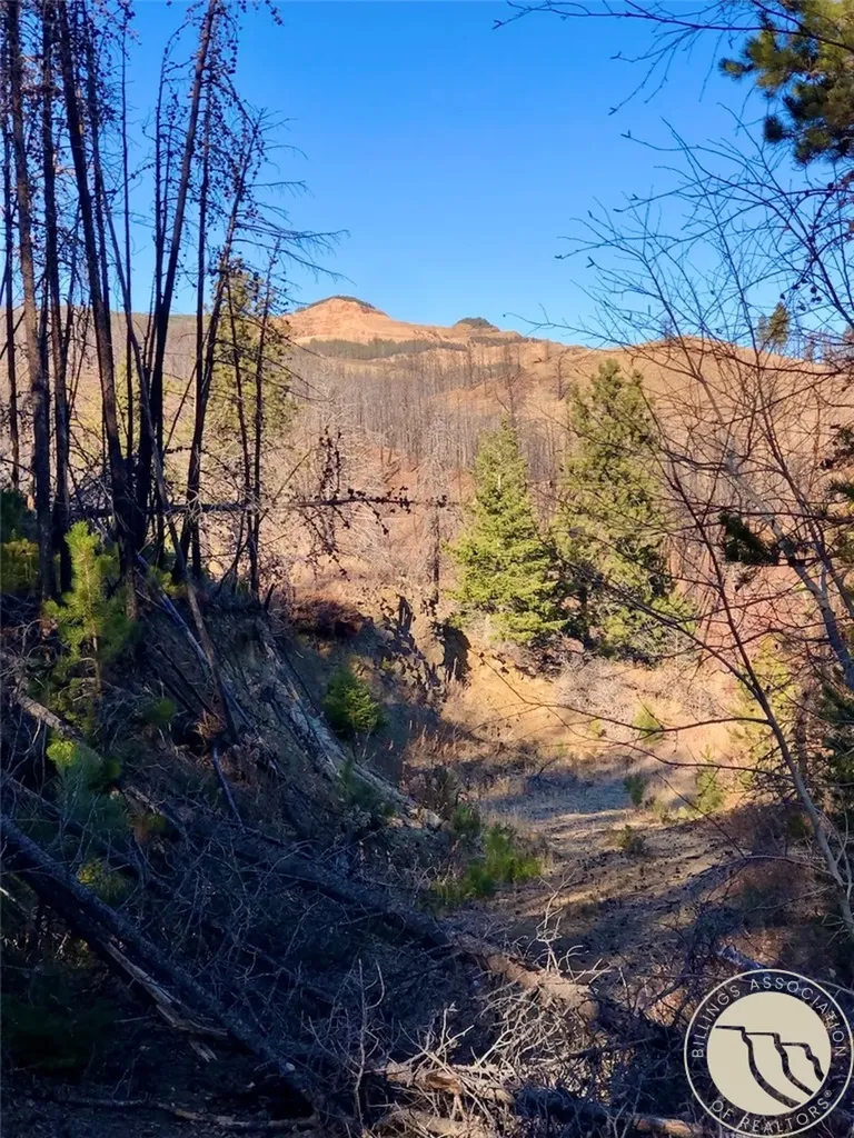 Nhn Pony Gulch Other MT 59546