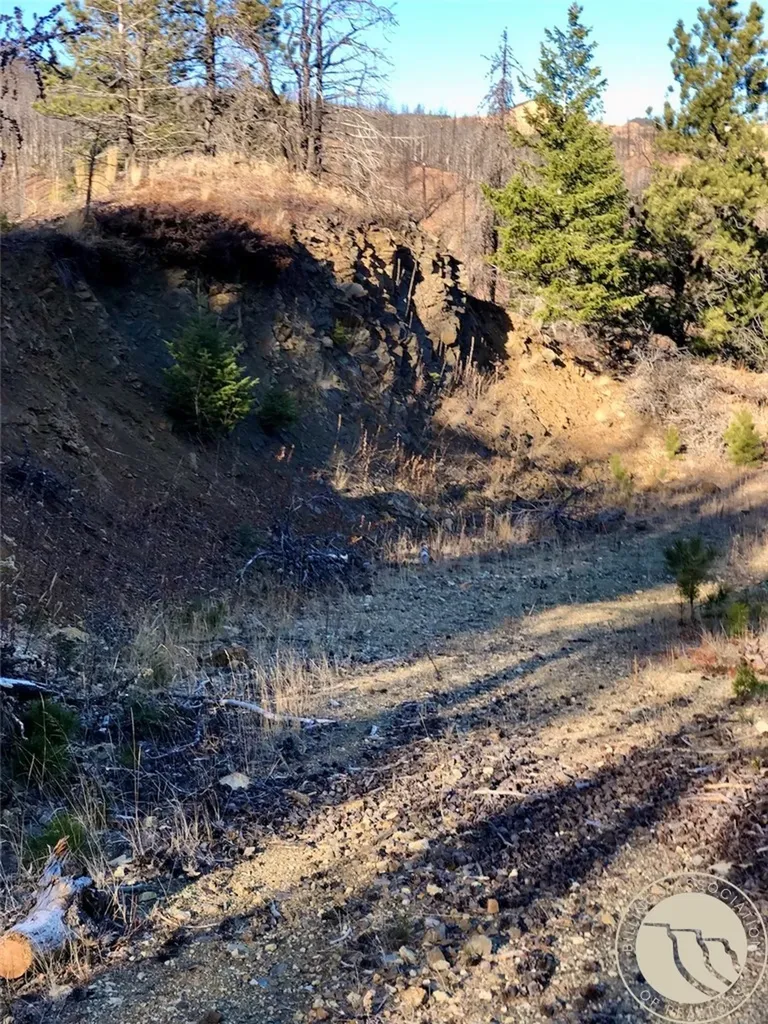 Nhn Pony Gulch Other MT 59546