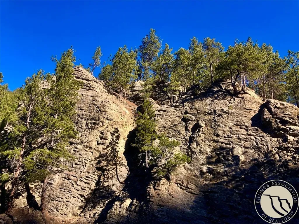 Nhn Pony Gulch Other MT 59546