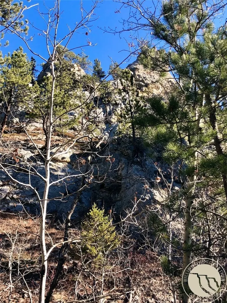 Nhn Pony Gulch Other MT 59546