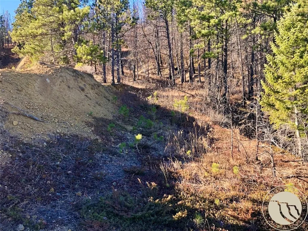 Nhn Pony Gulch Other MT 59546