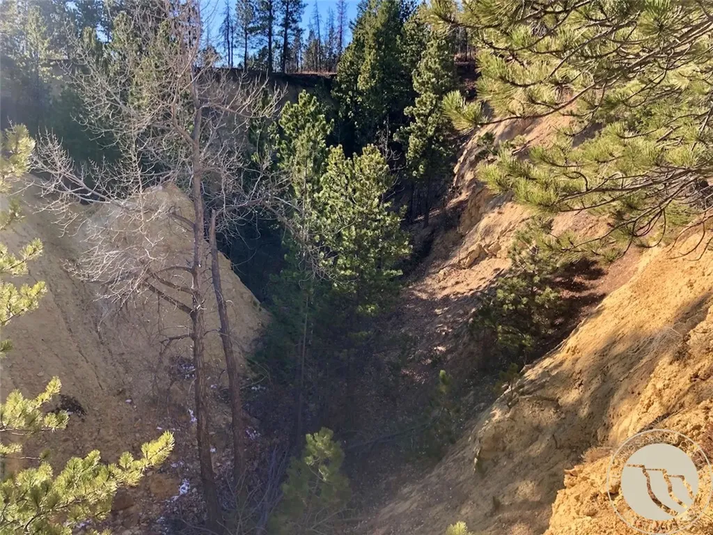 Nhn Pony Gulch Other MT 59546