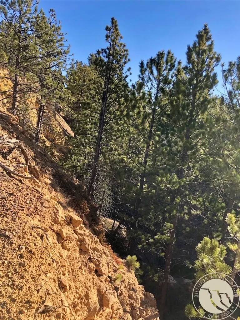 Nhn Pony Gulch Other MT 59546