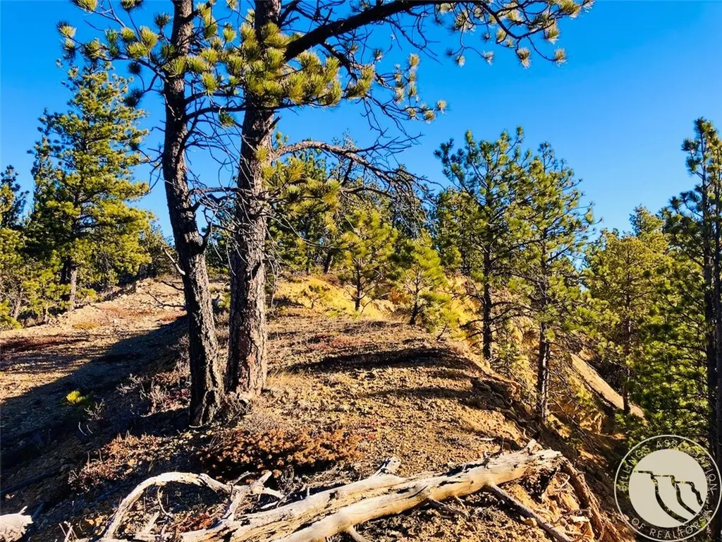 Nhn Pony Gulch Other MT 59546