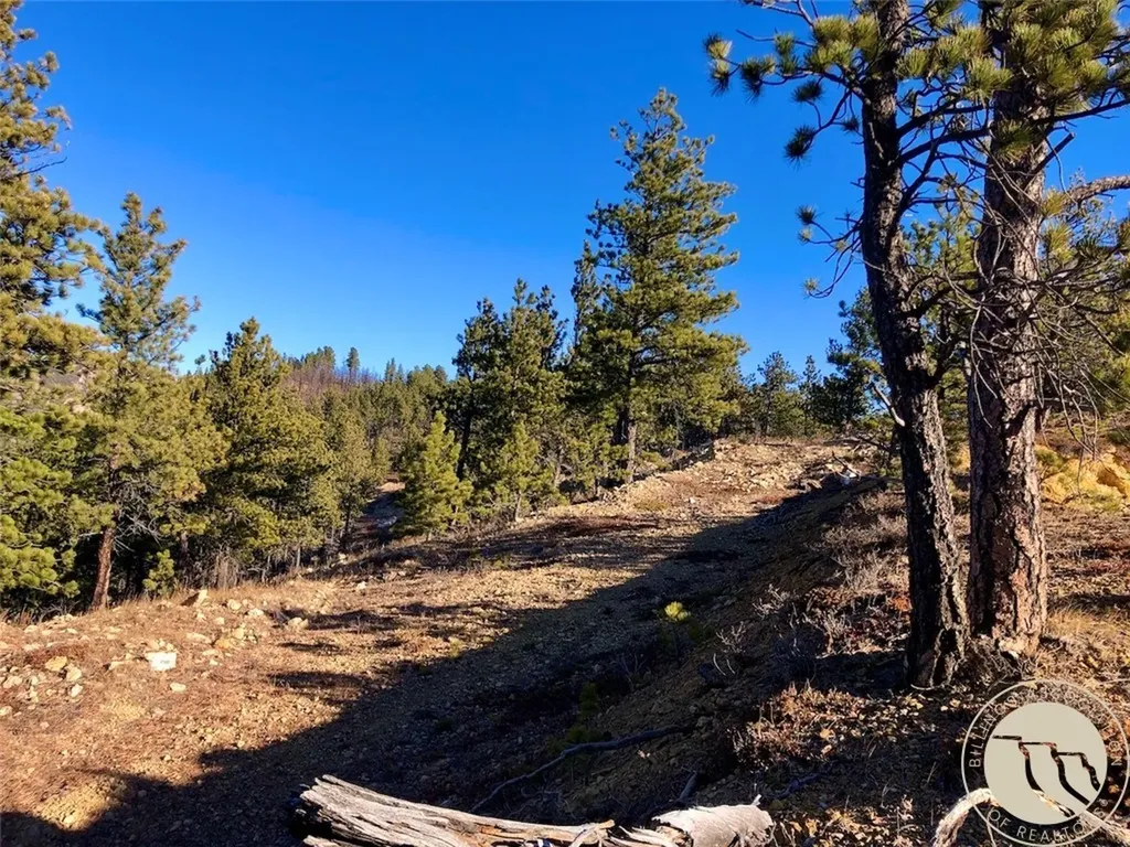 Nhn Pony Gulch Other MT 59546