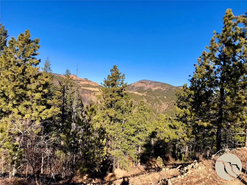 Nhn Pony Gulch Other MT 59546