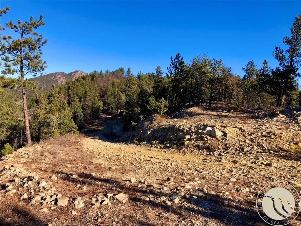 Nhn Pony Gulch Other MT 59546