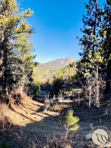 NHN Pony Gulch Other MT 59546