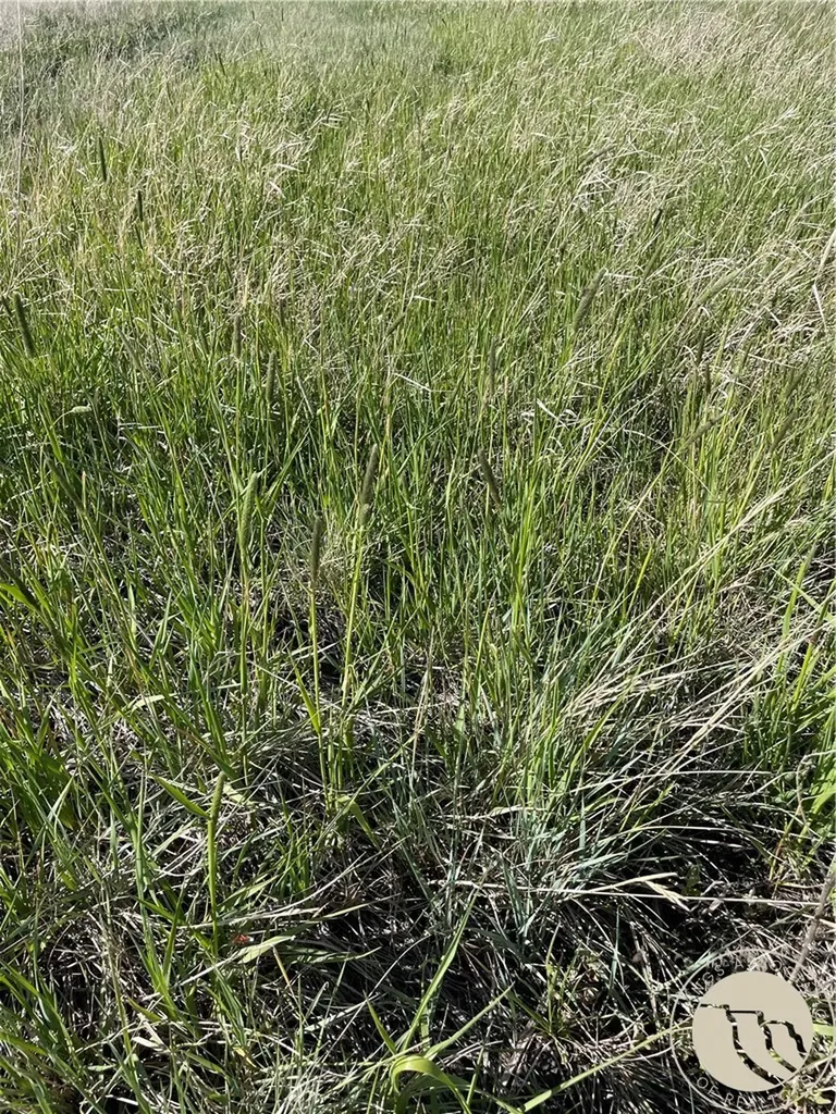 146 Acres Highway 363 Malta MT 59538