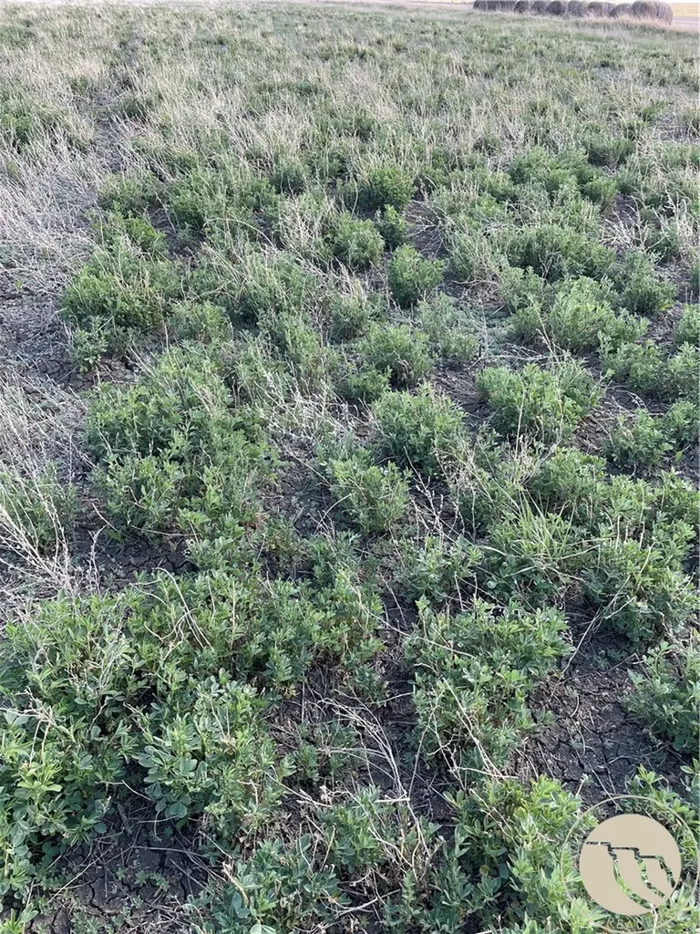 146 Acres Highway 363 Malta MT 59538