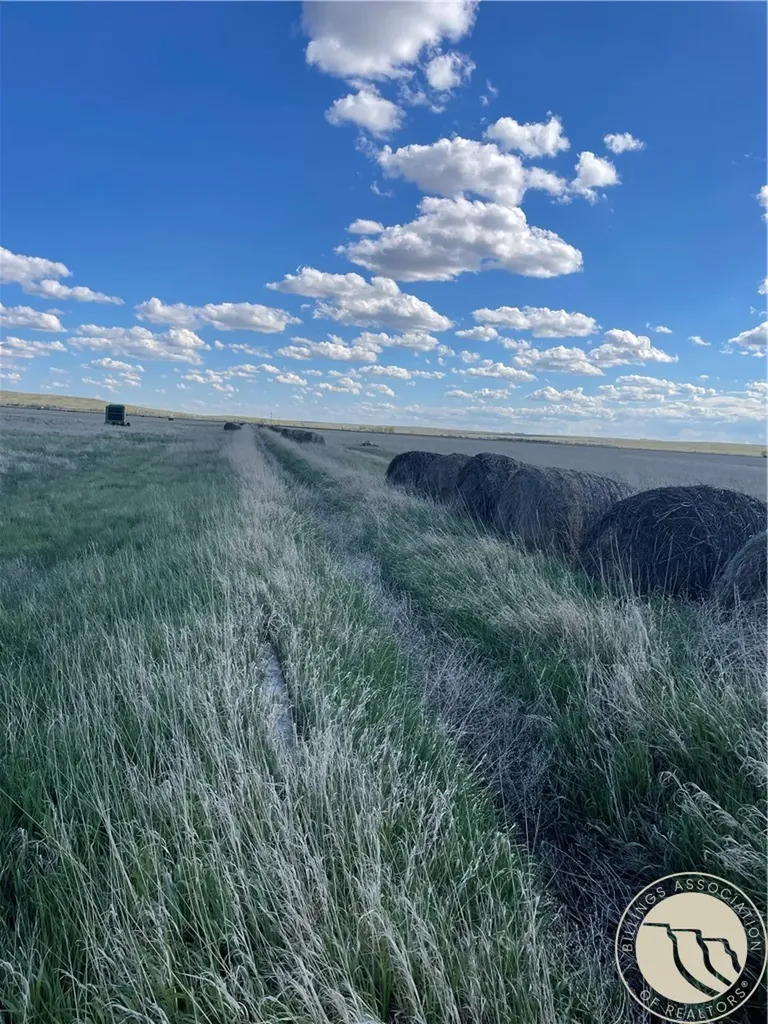 146 Acres Highway 363 Malta MT 59538