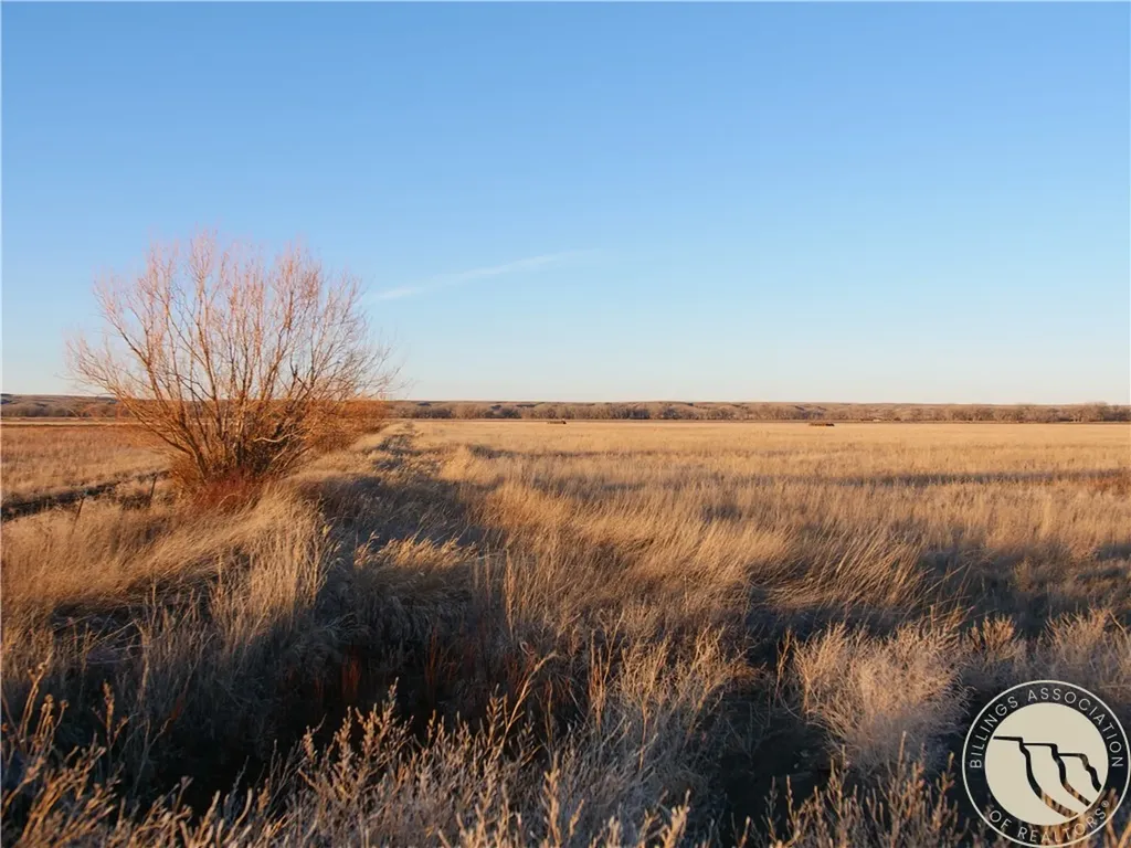 146 Acres Highway 363 Malta MT 59538