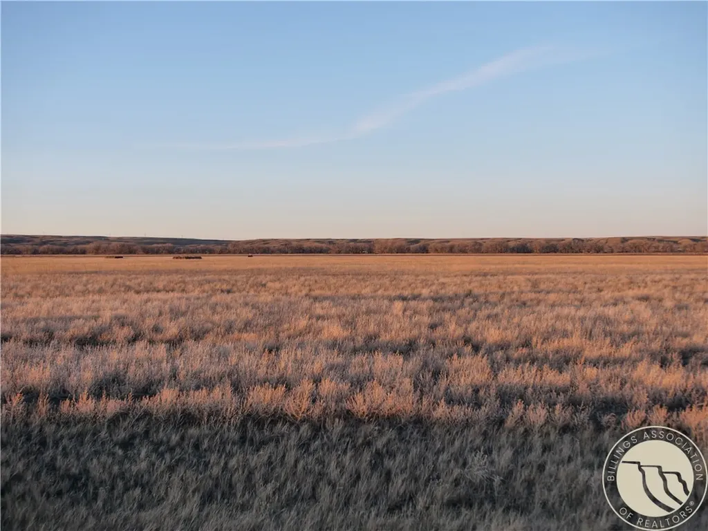 146 Acres Highway 363 Malta MT 59538