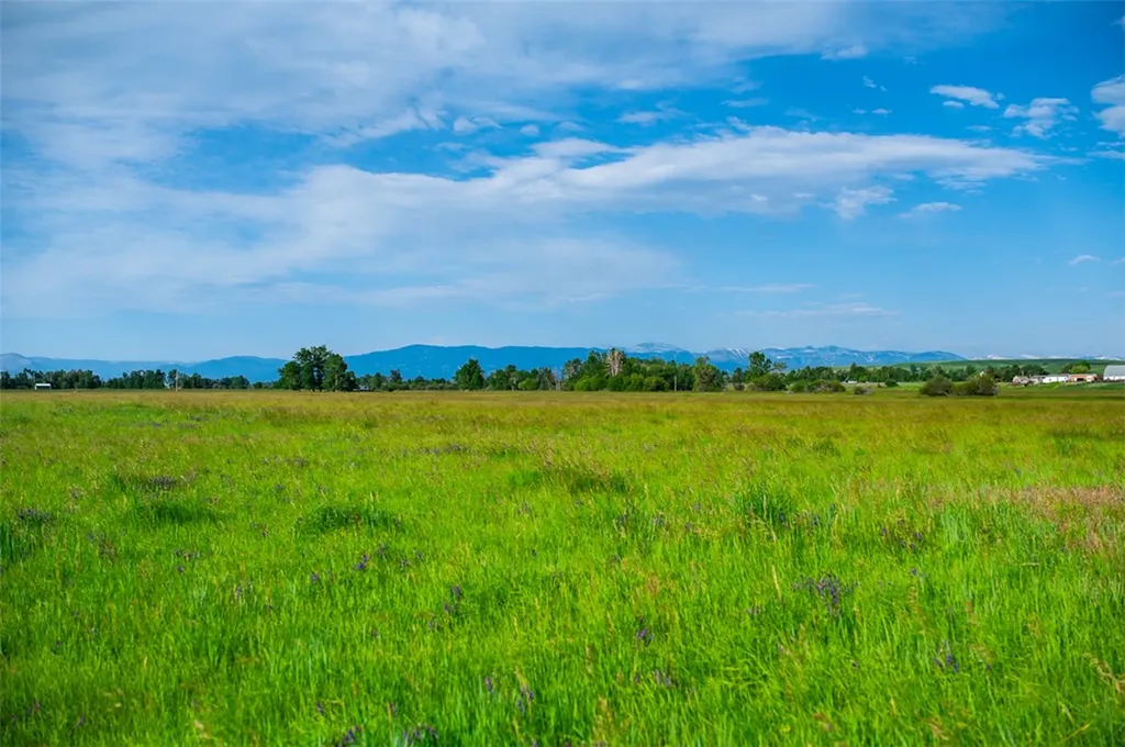 120 Cooney Road Roberts MT 59070