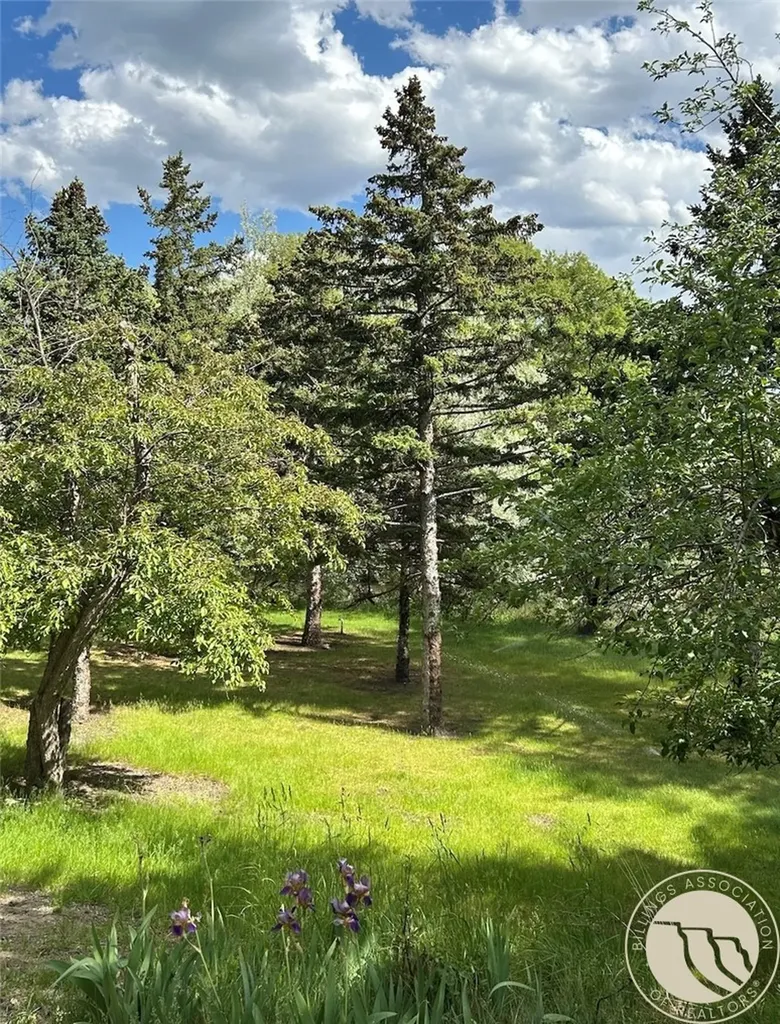 87 Mountain View Boulevard Billings MT 59101