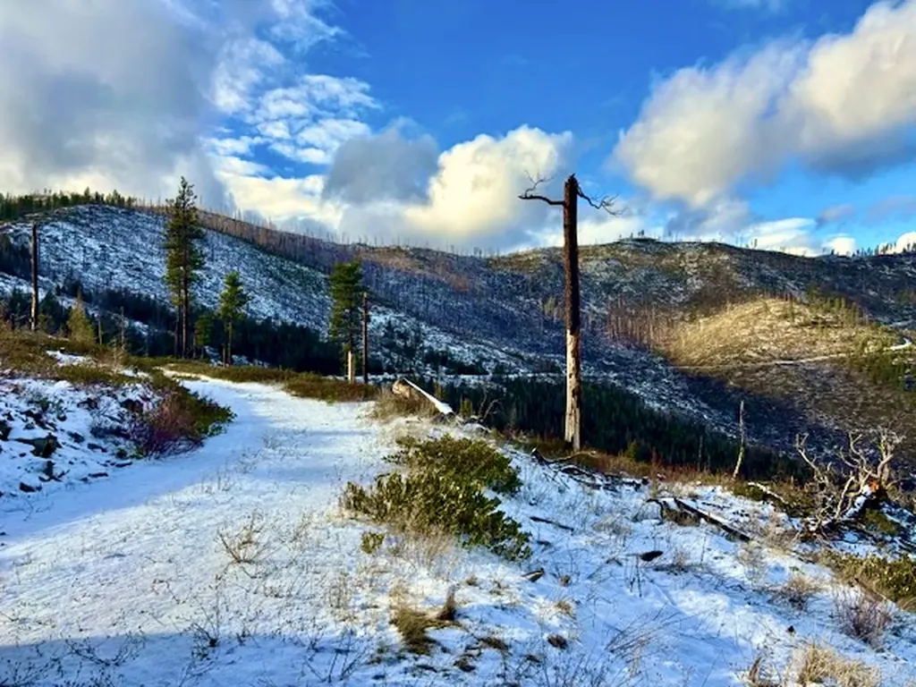 0 West Fork Combest Creek Road Other MT 59859