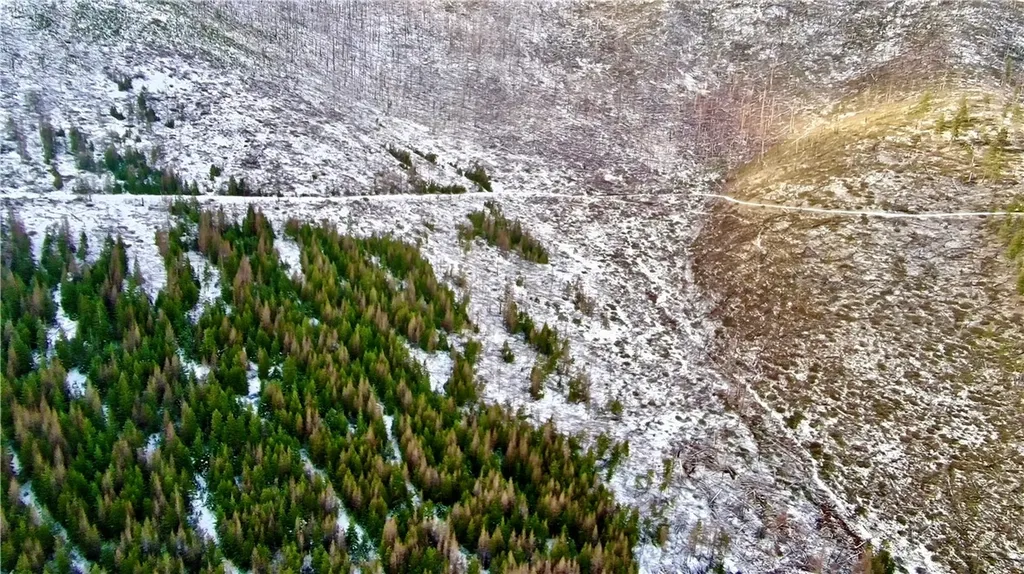 0 West Fork Combest Creek Road Other MT 59859