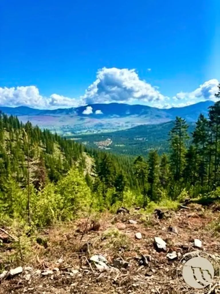 0 West Fork Combest Creek Road Other MT 59859