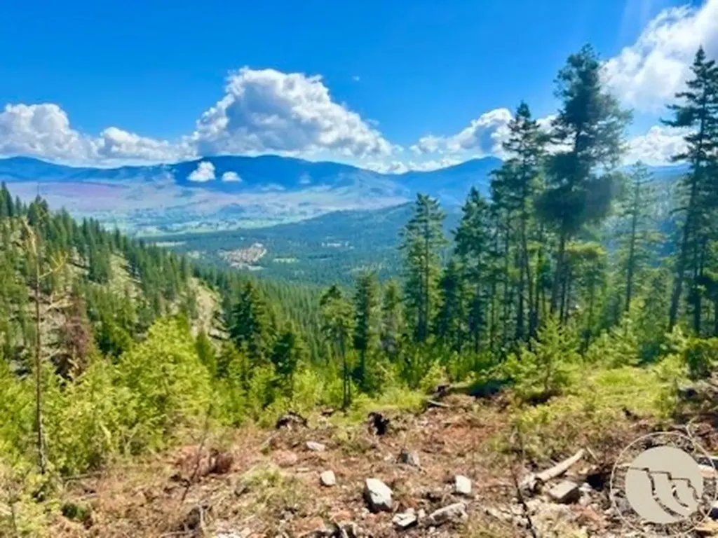 0 West Fork Combest Creek Road Other MT 59859