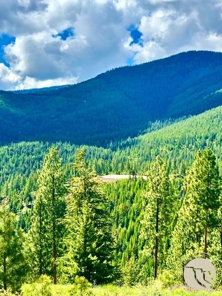 0 West Fork Combest Creek Road Other MT 59859